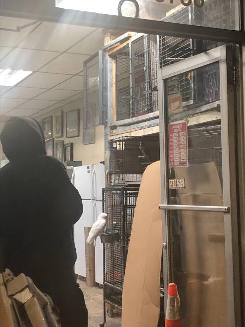 Parrots Appliance Sales & Service