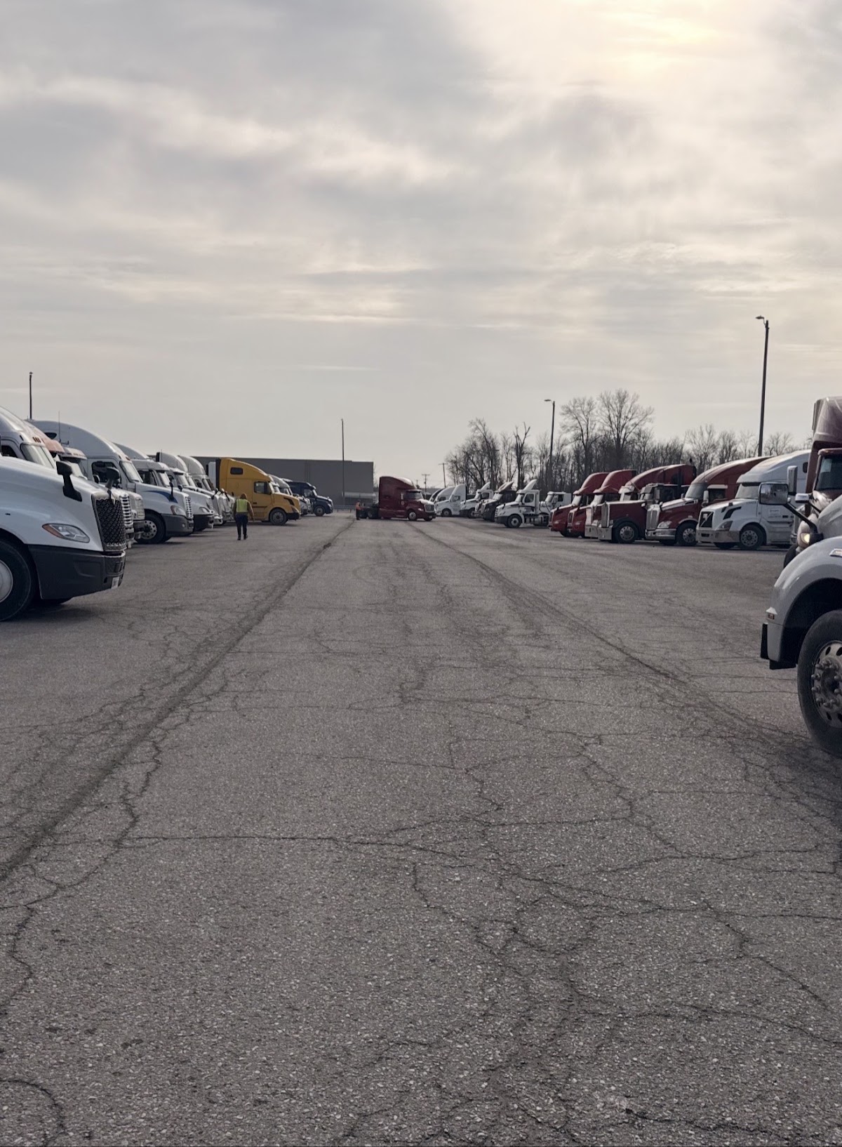 NS appliance park