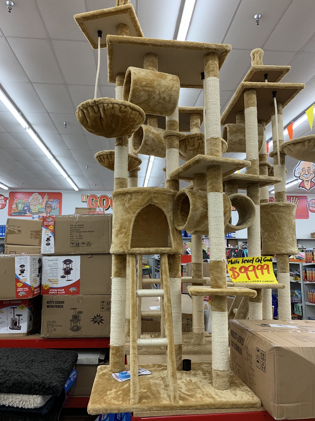 Ollie's Bargain Outlet